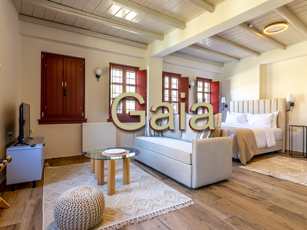 images/rooms/gaia.png#joomlaImage://local-images/rooms/gaia.png?width=600&height=450